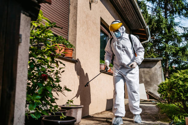 Best Pest Control Near Me in Velda City, MO