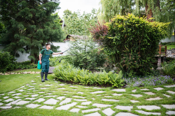 Best Residential Pest Control  in Velda City, MO