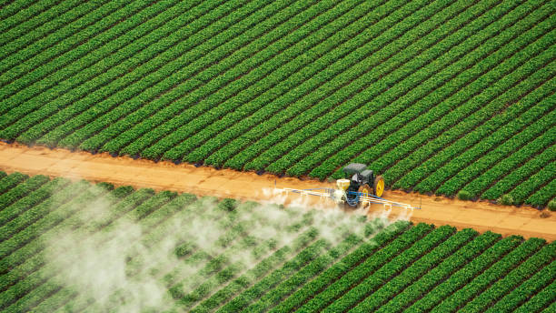 Best Pest Removal Services  in Velda City, MO