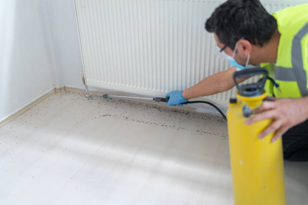 Best Commercial Pest Control Services  in Velda City, MO